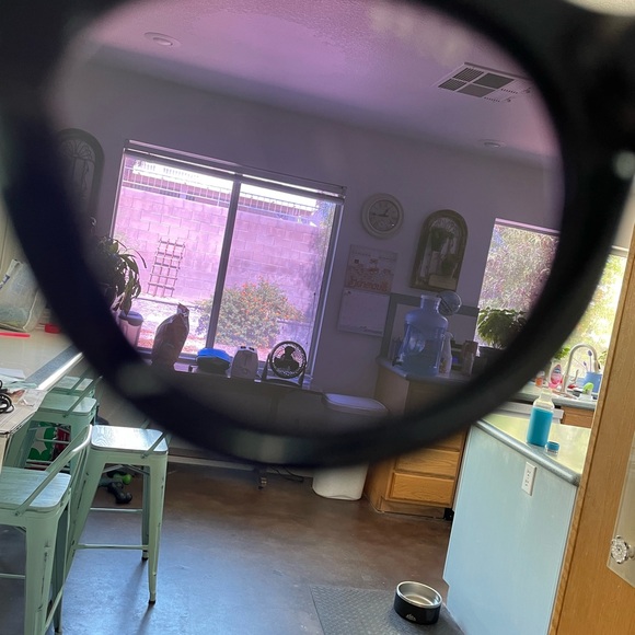 Diff sunglasses - Picture 12 of 14